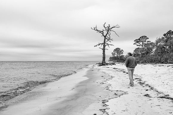 Florida Bald Point State Park beach 5