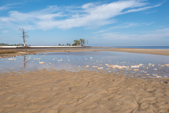 Florida Mashes Sands Beach 9