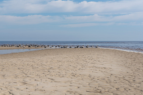 Florida Mashes Sands Beach 4