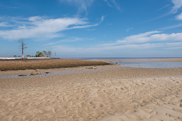 Florida Mashes Sands Beach 8