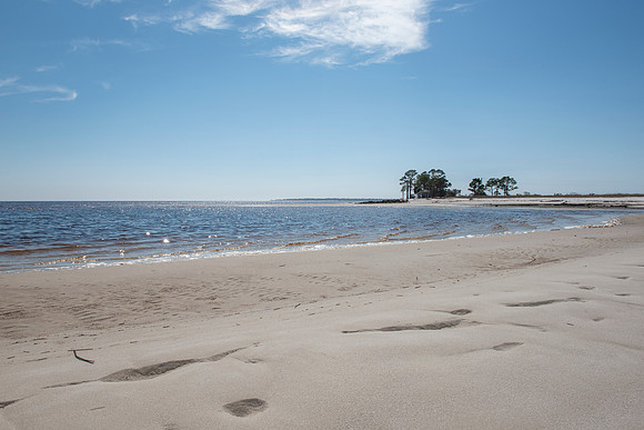Florida Mashes Sands Beach sand 3