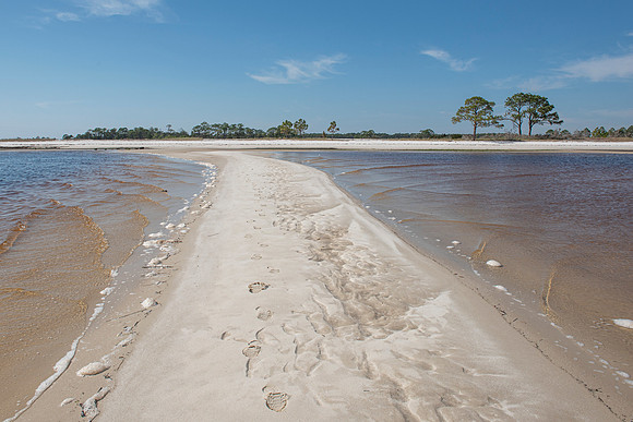 Florida Mashes Sands Beach sandbar