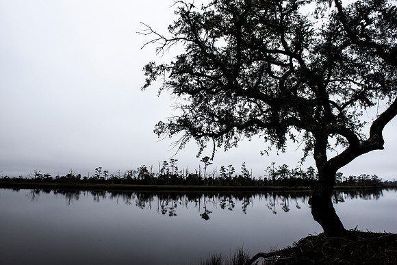 Florida Ochlockonee State park 4