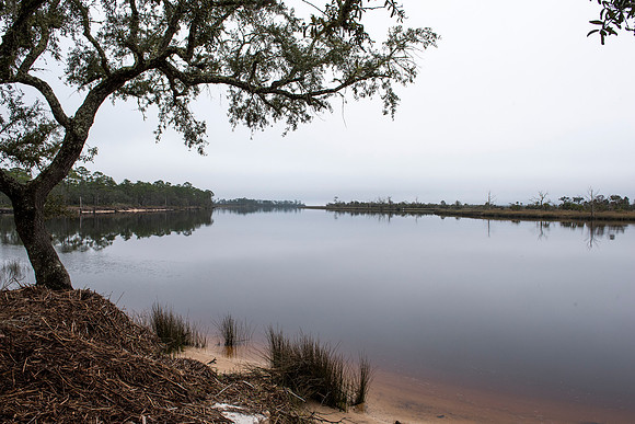 Florida Ochlockonee State Park 6
