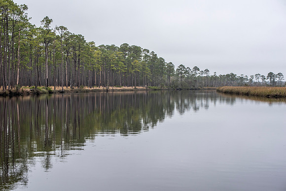 Florida Ochlockonee State Park 1