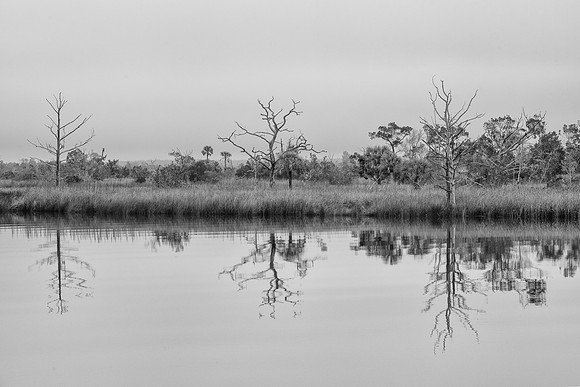 Florida Ochlockonee State Park 7