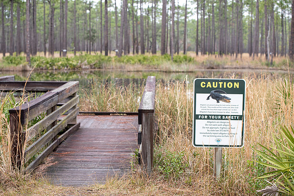 Florida Ochlockonee State Park 12