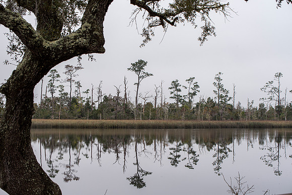 Florida Ochlockonee State Park 3