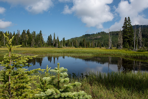 Mt_Washington_PLR1762