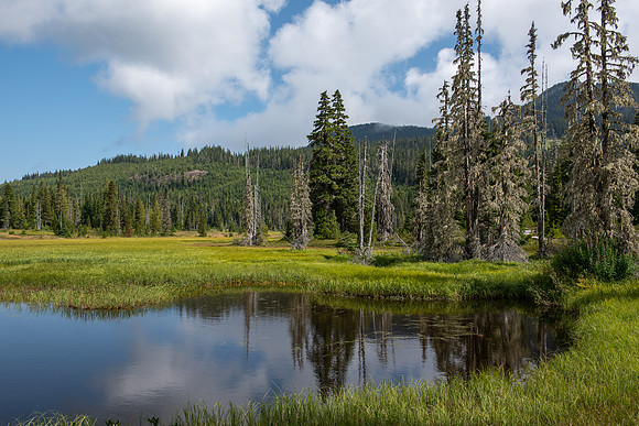 Mt_Washington_PLR1763