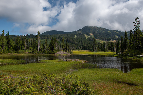 Mt_Washington_PLR1772