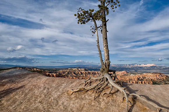 Bryce Canyon