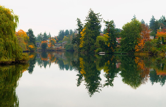 1_DSC_0031