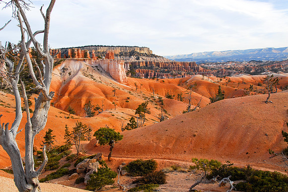 Bryce Canyon