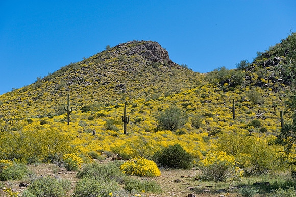 Silly Mountain, Apache Junction AZ