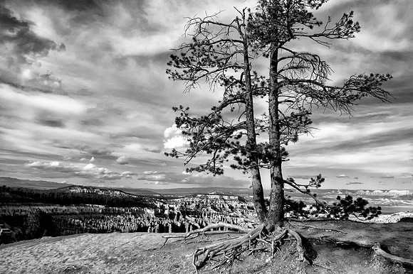 Bryce Canyon