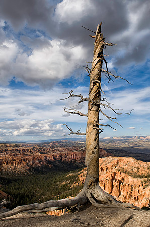Bryce Canyon