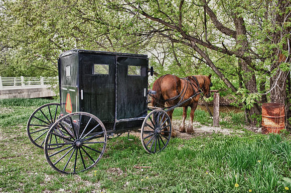 Old Order Mennonite