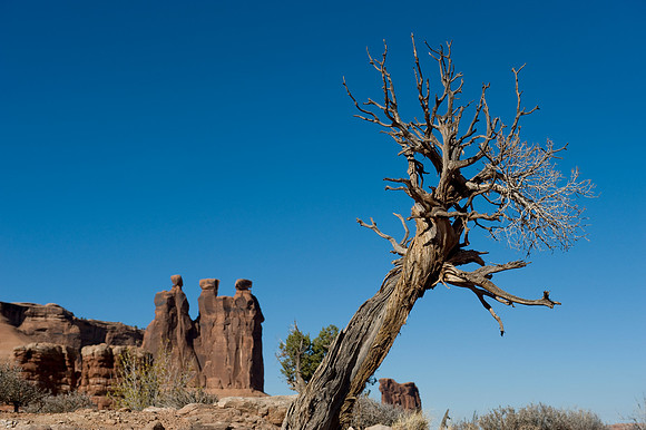 Arches National Park, Utah